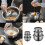 Easy Cleaning Nonrust Steel Bowl with-Six  piece set silic 2