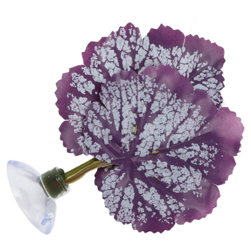 Betta Fish Leaf Pad, 1