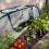Couverture de jardin pour lit surélevé, serre transparente-vert 2