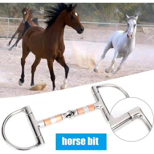 Professional Horse Bit Stainless Steel D Ring Snaffle Bit for Training 1