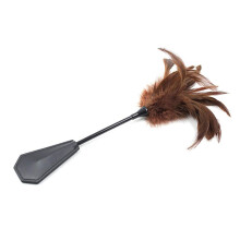 Feather tickler, feather teasing, spanking paddle, erotic caress, body toys