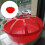 MultiPurpose Bird Feeder for Small Poultry AntiSpill 10 Slot 2
