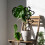 Quick Install Artistic Heart Shape Iron Frame for Climbing Plant 7
