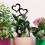 Quick Install Artistic Heart Shape Iron Frame for Climbing Plant 4