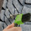 High Efficiency Hoof Maintenance Tool with Steel Hook Head-3 7