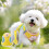 Breathable Large Dog Harness for Small Dogs No Pull Design-L 6 6