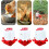 Poultry Watering Device With Automatic-Chicken cube bucket 5