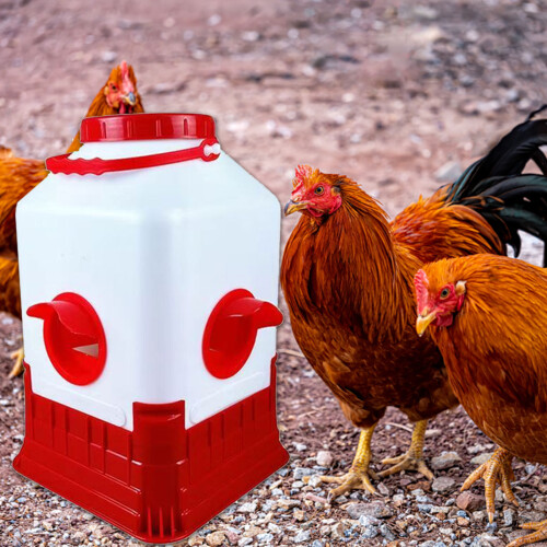 Poultry Watering Device With Automatic-Chicken cube bucket 2