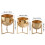 Multipurpose Garden Stand Support with Shelves for Plant-S 4