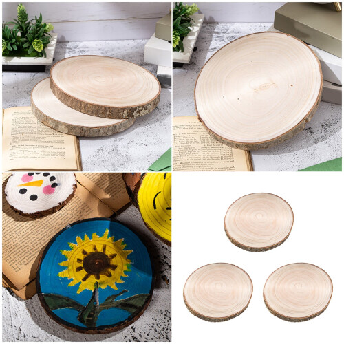 Packung mit 3 Wachstumsholzscheiben, geeignet für Wandkunst,-C 1