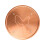 Copper Disk for Animal Bird Bath Cleaning Quick- A chicken 1