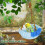 Warm Parrots Nest Hammock with Removable Cover Plush Interior-A 7