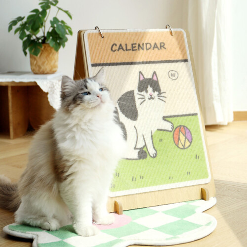 Creatieve bureaukalender en krabplank voor stijlvolle 1