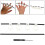 Guitar Finger Exerciser with Flexible Plastic Finger Expander Hand Therapy Tool 16