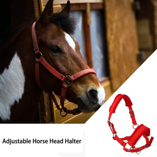 Horse Headcollar Adjustable Strap Headcollar with Thickened Fleece Padded with Multiple Sizes 2