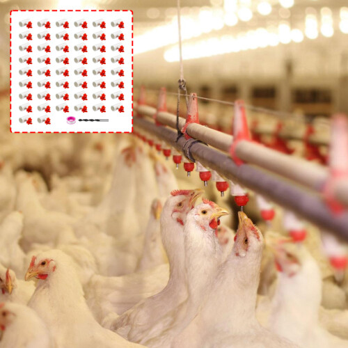 Health Chicken Nipple Waterer Safe Drinking System For-Style1 1