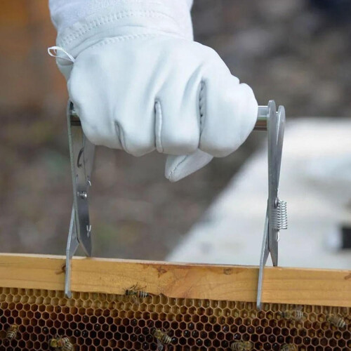 Beekeeping Tools Stainless Steel Clip For Honey Catching Extraction Feeding Display 1
