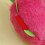 Plush Fruit Cats Chewing Toy For Stimulating Play-pitaya 5