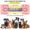 Dog Tossing Molar Toy Dog Molar Training for Small Medium Large 4