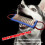 Dog Tossing Molar Toy Dog Molar Training for Small Medium Large 5