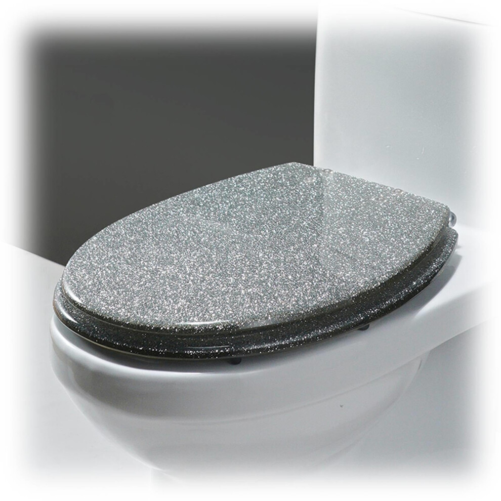 Glitter Toilet Seat Soft Close Quick Release 360Degree Adjustable Stainless Steel Hinge Easy Install Silver 36 X 42 Cm 9426802234145