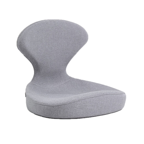 Oreiller lombaire flexible offrant des Shih tzus ergonomiques-G