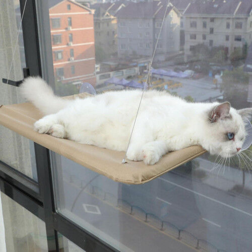 Cat Window Bed, Heavy Duty Kitten Perch, Soft Hammock, 4 Suction Cups, Cream 1