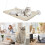 Cat Window Bed, Heavy Duty Kitten Perch, Soft Hammock, 4 Suction Cups, Cream 4
