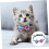 Adjustable Cat Collar With Removable Bell And Cherry Blossom Design 2