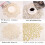Reusable Table Splendor, Gold Placemats With Coasters For Dining Table Setting, Wipeable Material Perfect For Special Occasions 3