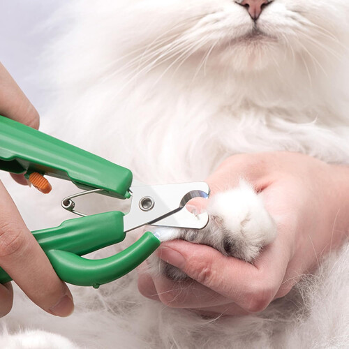 Cat Nail Clipper, Cute Cactus Shape, Safe Dog Nail Cutter for Precise Trimming 2