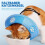 Waterproof Cat Collar Protective ECollar for PostSurgery and Wounds, Soft, Blue, Size S 3
