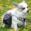 Hundekotbeutelhalter mit Leckerli-Tasche für-Grün 3