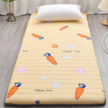 Floor Mattress, Futon Thickened 5cm Roll Up Mattress for Home Camping and Couch Foldable Tatami Mat for Comfort and Convenience Ref: 2628