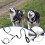 Double Dog Leash  Training Leads  Shock Absorption Bungee Leash for 2 Pets 2