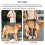 Polyester Mobility Harness Support Strap For Senior Dog Easy-L 7