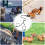 Double Dog Leash  Training Leads  Shock Absorption Bungee Leash for 2 Pets 4