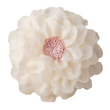 Taie d'oreiller décorative princesse inspirée des motifs-2