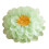 Modèle démontable de fleurs de couverture d'oreiller d'organza-7 1