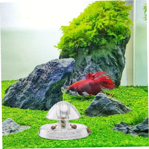 Aquarium Snail Trap, Clear, Lightweight Plastic Fish for Home 2