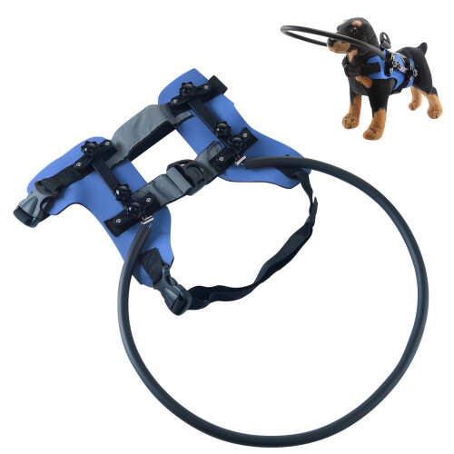 Safety Guide Collar Reinforced Fabric Obstacle Avoidance-M Blue