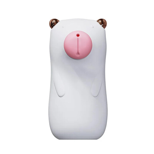 Remote Control Vibrating Egg with Powerful Vibrations, Waterproof USB Rechargeable Bullet Vibrator