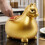Statues de cheval, jolies banques-L'or est souhaitable L 6