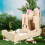 Small Pet Feeder Hamster Automatic Feeder Drinker Multifunctional Waterer Bath Water Feeding Compact Size For Small Pets 4
