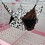 Pet Double Layer Hammock Hamster Ferret 20x20cm Gray Spots 11