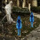 -Orchideengespenst Orchideengespenst Orchideengespenst Orchideeng 3
