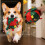 Automatic Individual Moving Dog Exercise Toy Machine Washable 6
