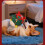 Automatic Individual Moving Dog Exercise Toy Machine Washable 2
