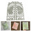 Vlinder vleugel stansmessen koolstofstaal gestanst scrapbooking 2
