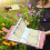 Album Semina de jardin peu encombrant, inserts-Vert 5